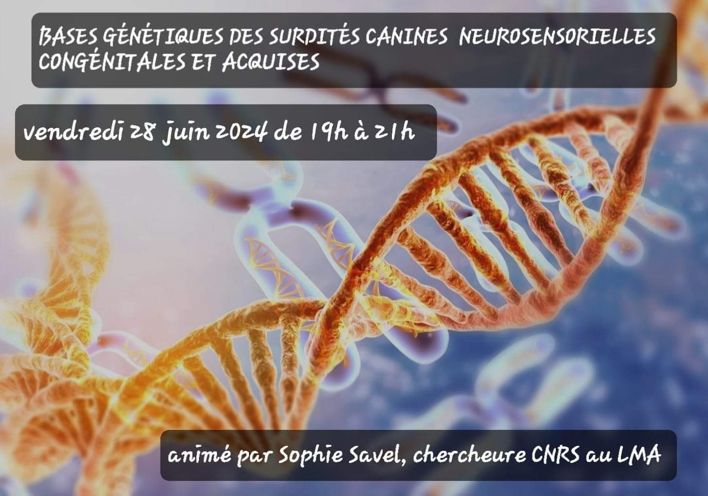 Bases génétiques des surdités canines neurosensorielles congénitales et acquises