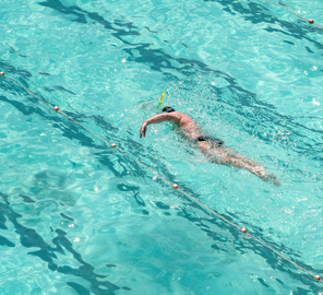 Physique de la Natation Olympique